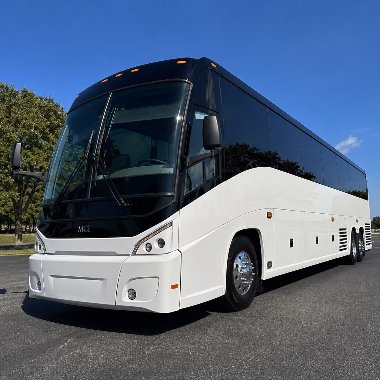 because the right bus makes a multi day trip from smyrna worth every mile