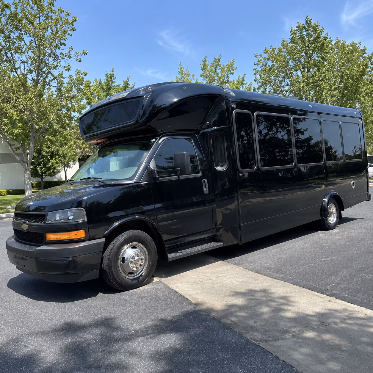 smyrna 15 passenger party bus